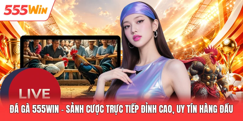 Đá Gà 555win - Sảnh Cược Trực Tiếp Đỉnh Cao, Uy Tín Hàng Đầu Đá Gà 555win - Sảnh Cược Trực Tiếp Đỉnh Cao, Uy Tín Hàng Đầu