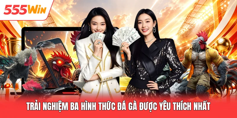 Trải nghiệm ba hình thức đá gà được yêu thích nhất